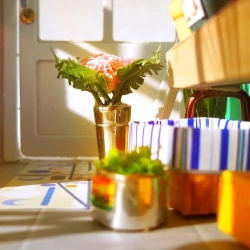 Model Loggia z balkonem